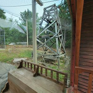 Stone Zoo 7/22 - Jaguar