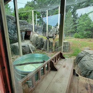 Stone Zoo 7/22 - Jaguar