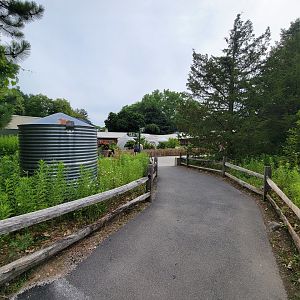 Stone Zoo 7/22 - Treasures of the Sierra Madre