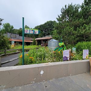 Stone Zoo 7/22 - Treasures of the Sierra Madre