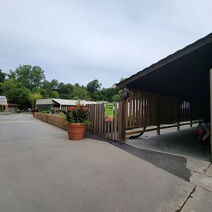 Stone Zoo 7/22 - Windows to the Wild