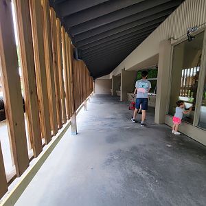 Stone Zoo 7/22 - Windows to the Wild