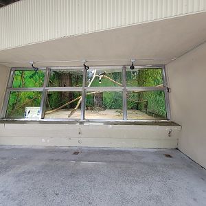 Stone Zoo 7/22 - Rhinoceros hornbill