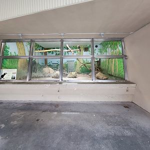 Stone Zoo 7/22 - Silvery-cheeked hornbill