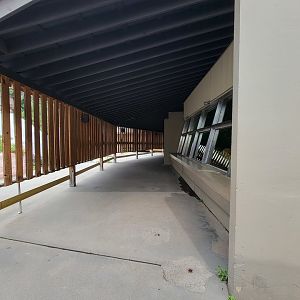 Stone Zoo 7/22 - Windows to the Wild