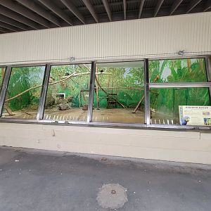 Stone Zoo 7/22 - Hyacinth macaws