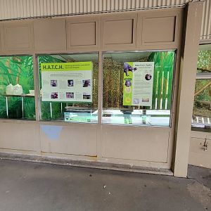 Stone Zoo 7/22 - Blanding's turtles