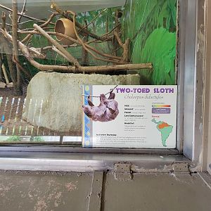 Stone Zoo 7/22 - Linnaeus's sloth, red-rumped agouti, second exhibit