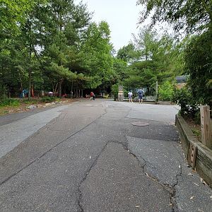 Stone Zoo 7/22 - Treetops & Riverbeds