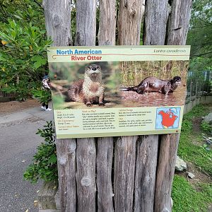 Stone Zoo 7/22 - North American River Otter signage