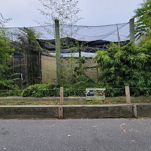 Stone Zoo 7/22 - Guereza Colobuses