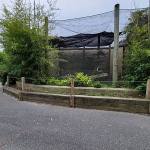 Stone Zoo 7/22 - Guereza Colobuses