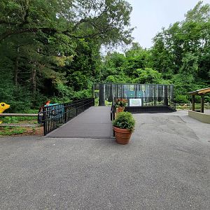 Stone Zoo 7/22 - Bathrooms, Lego frogs