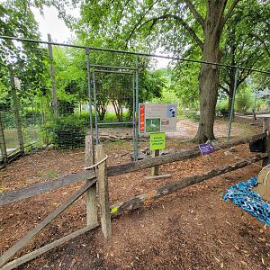 Stone Zoo 7/22 - Closed whooping crane yard