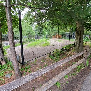 Stone Zoo 7/22 - back of reindeer yard