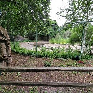 Stone Zoo 7/22 - unsigned, whooping crane area?