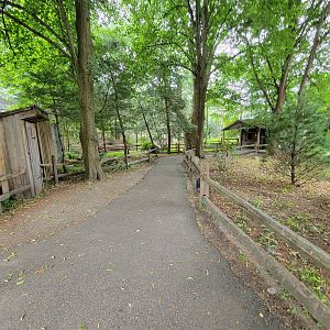 Stone Zoo 7/22 - Yukon Creek