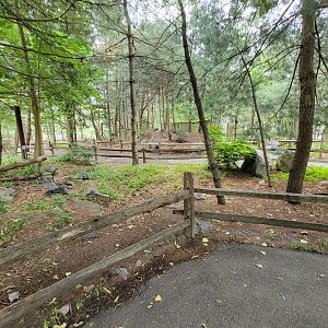 Stone Zoo 7/22 - Yukon Creek