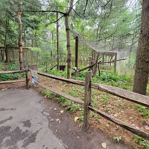 Stone Zoo 7/22 - Arctic fox