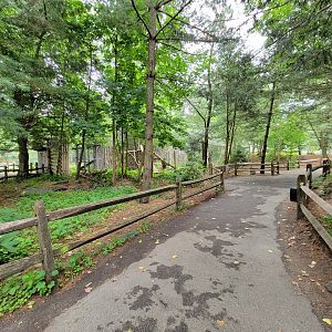 Stone Zoo 7/22 - Yukon Creek path