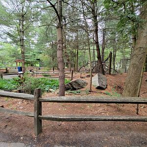 Stone Zoo 7/22 - Yukon Creek path