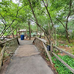 Stone Zoo 7/22 - Yukon Creek path