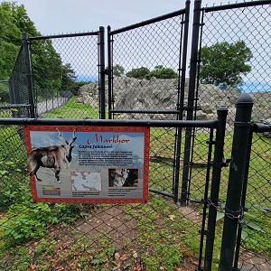 Stone Zoo 7/22 - Himalayan Highlands signage