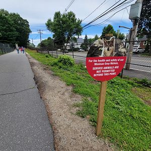 Stone Zoo 7/22 - Path to Mexican wolves, no service dogs beyond that point