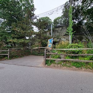 Stone Zoo 7/22 - Snow leopard viewing