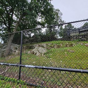 Stone Zoo 7/22 - More of the markhor yard, it wraps around