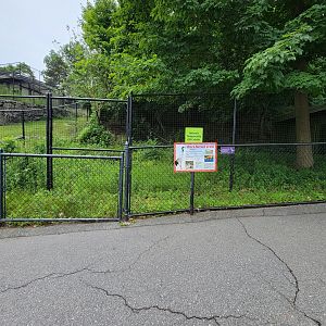 Stone Zoo 7/22 - Black-necked crane yard, off exhibit