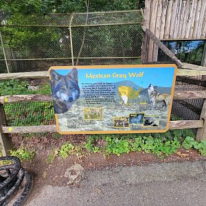 Stone Zoo 7/22 - Mexican gray wolf signage