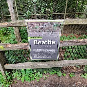 Stone Zoo 7/22 - Signs were up for each of the wolves' names