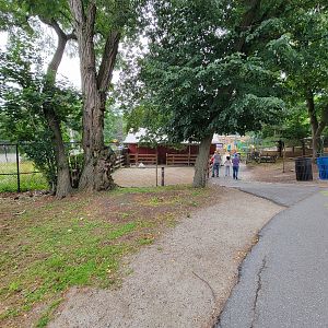 Stone Zoo 7/22 - Children's zoo