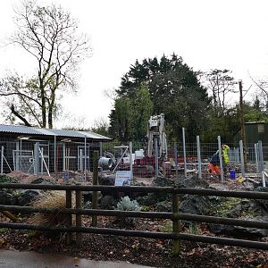 A forest of fence poles, 21 November 2022