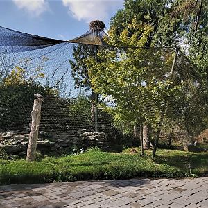 Egyptian vulture and Saddle-billed stork aviary