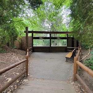 RWPZ 7/22 - First cheetah viewing