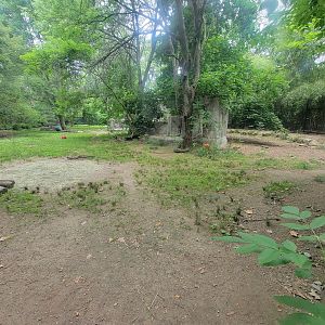 RWPZ 7/22 - View from first cheetah window