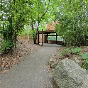 RWPZ 7/22 - Second cheetah viewing window