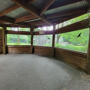 RWPZ 7/22 - Second cheetah viewing window