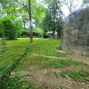 RWPZ 7/22 - Second cheetah viewing window