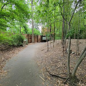 RWPZ 7/22 - Second cheetah viewing window