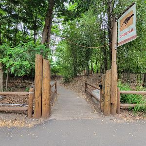 RWPZ 7/22 - Path from cheetah viewing