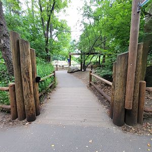 RWPZ 7/22 - Ostriches