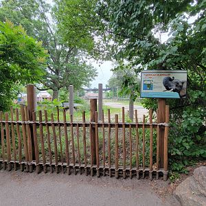 RWPZ 7/22 - First spot to see the elephants from