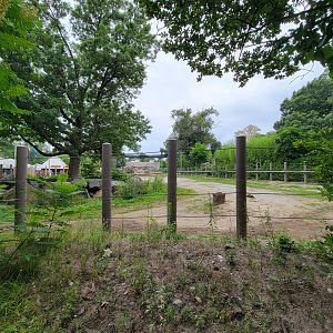 RWPZ 7/22 - African elephants, far right of exhibit