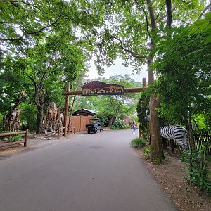 RWPZ 7/22 - Jambo Junction