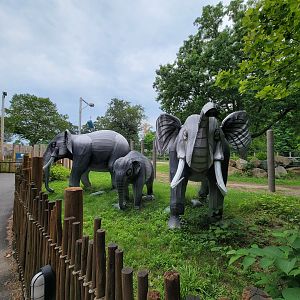 RWPZ 7/22 - African elephants