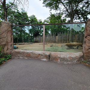 RWPZ 7/22 - Red river hogs