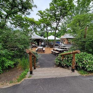 RWPZ 7/22 - Jambo Junction